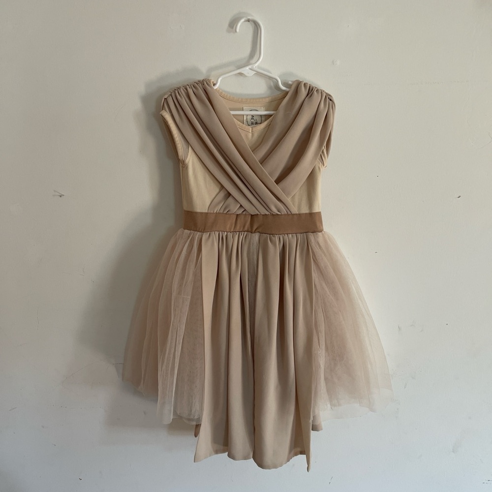 Elegant Beige Tulle Dress